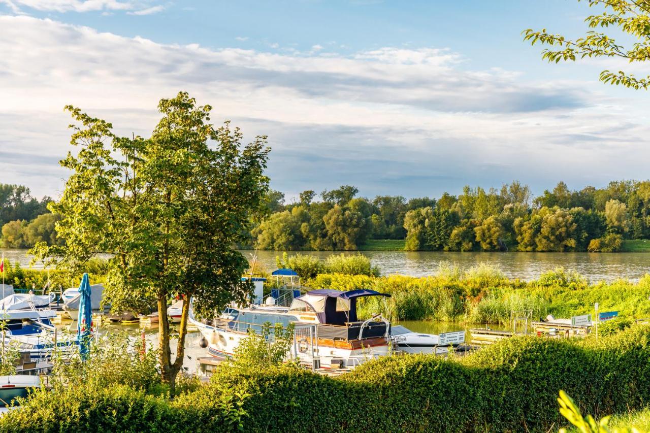 Camping & Pension Au An Der Donau Eksteriør billede