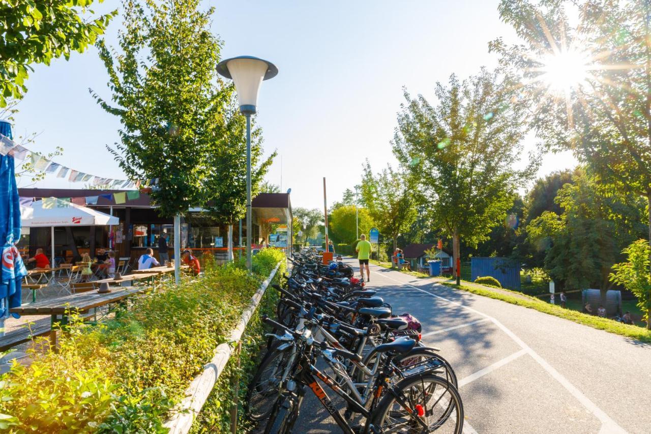 Camping & Pension Au An Der Donau Eksteriør billede
