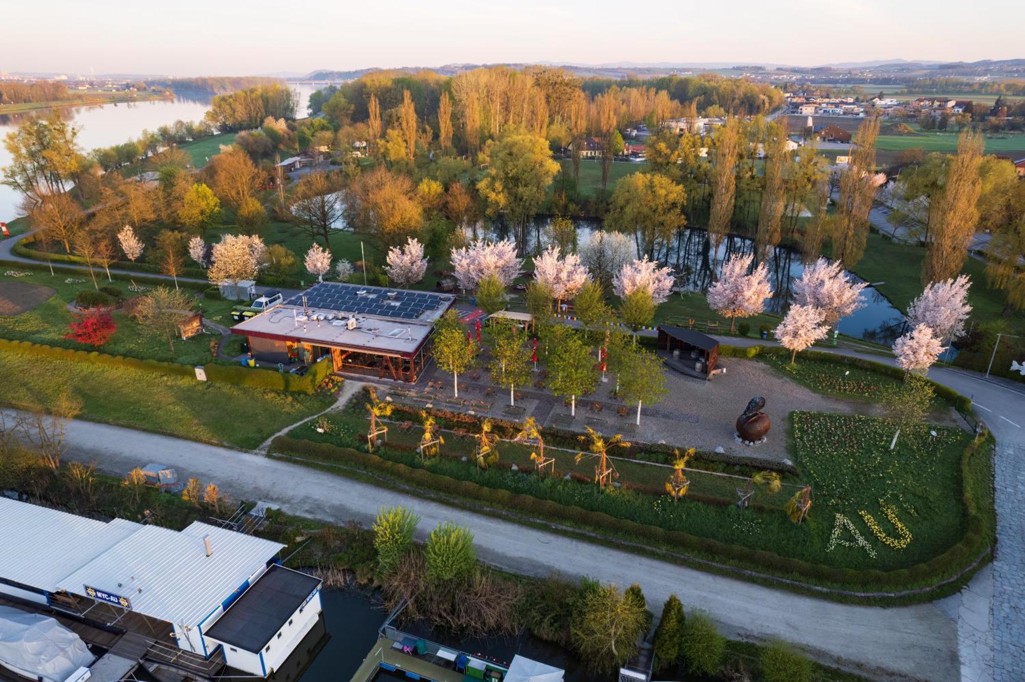 Camping & Pension Au An Der Donau Eksteriør billede