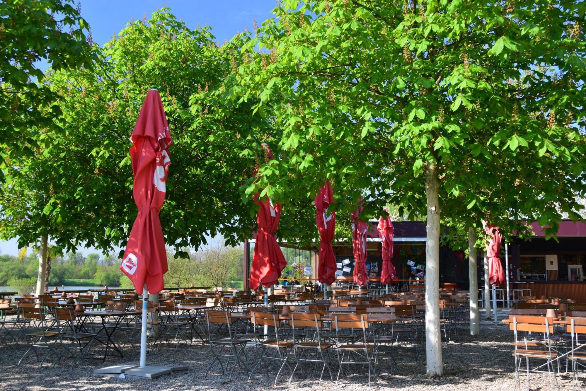 Camping & Pension Au An Der Donau Eksteriør billede