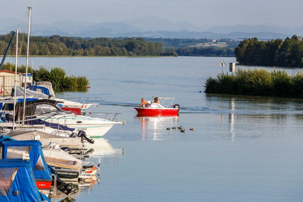 Camping & Pension Au An Der Donau Eksteriør billede