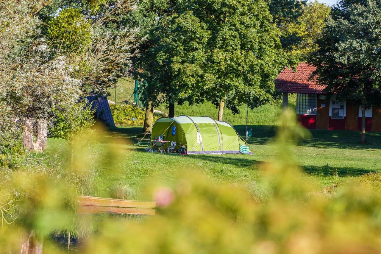 Camping & Pension Au An Der Donau Eksteriør billede