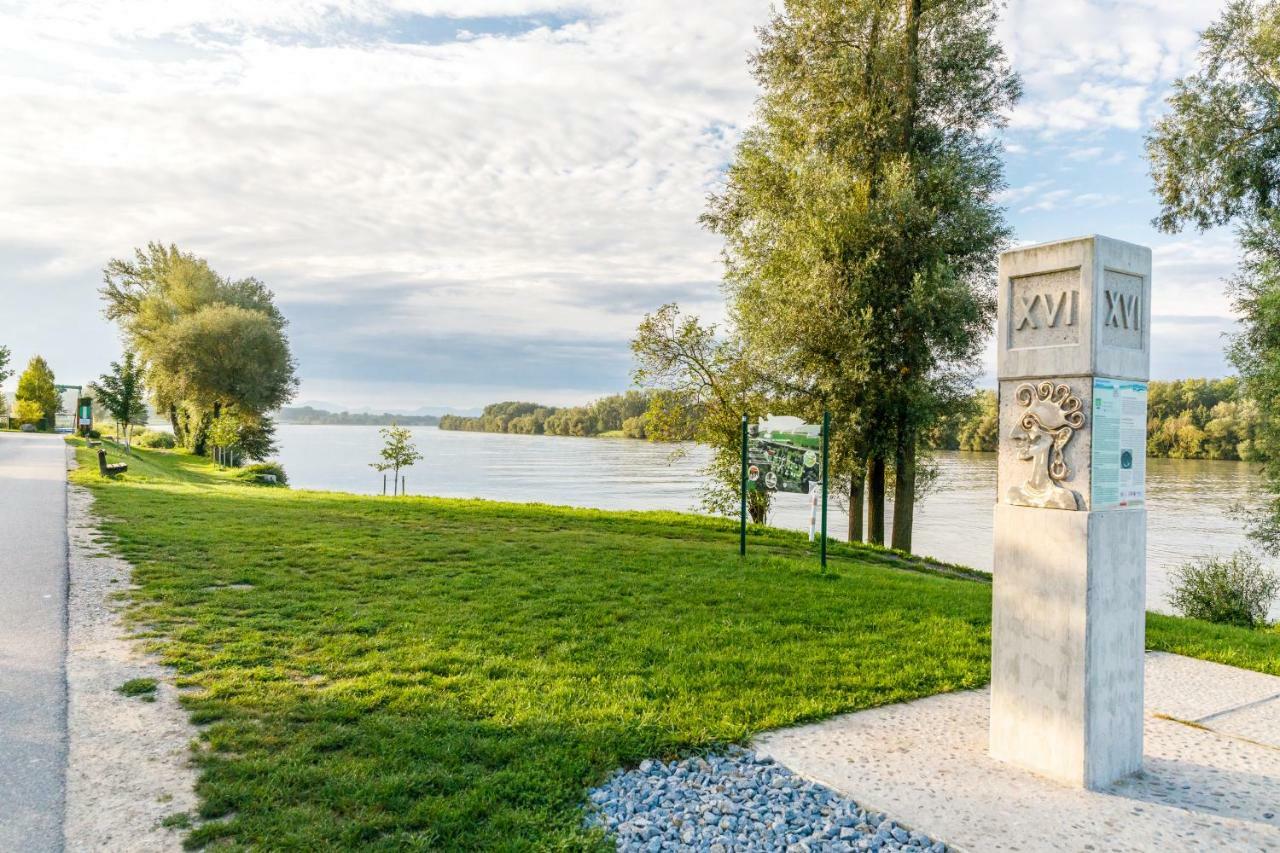 Camping & Pension Au An Der Donau Eksteriør billede