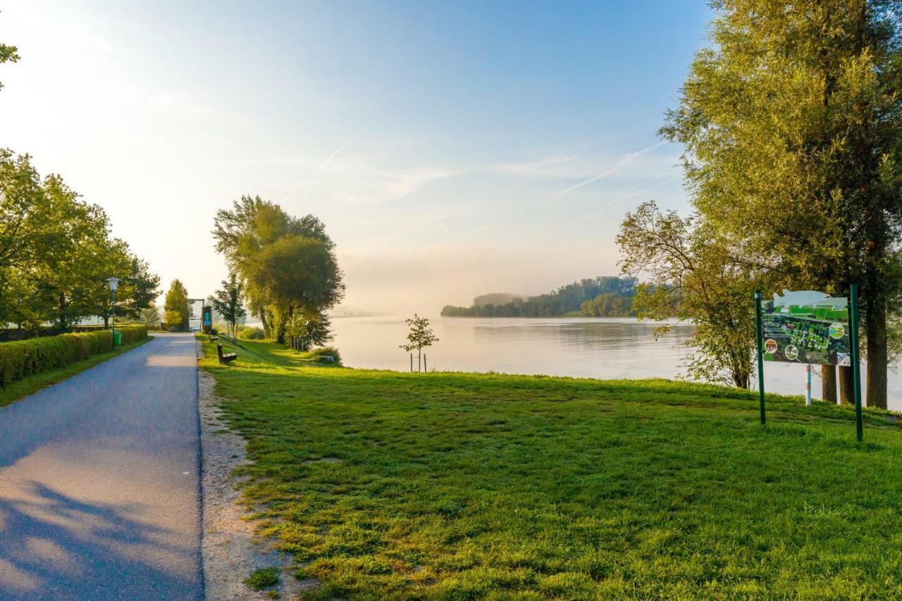 Camping & Pension Au An Der Donau Eksteriør billede