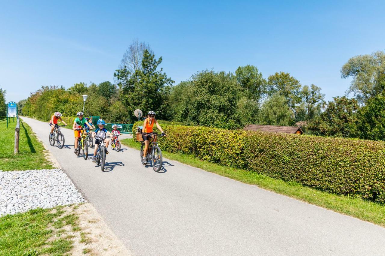 Camping & Pension Au An Der Donau Eksteriør billede